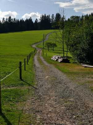 P1060166.JPG