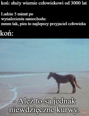Gdjr2IrWCIYSdjS5Cgk8eQnWHPtqfrIn.jpg
