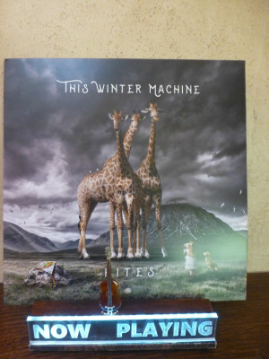 This Winter Machine - Kites.JPG