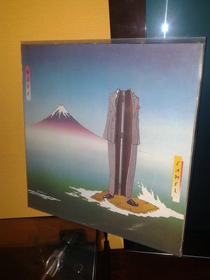 20151130_144608.jpg
