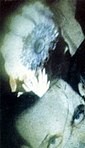 foto2.jpg