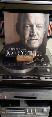 Cocker.jpg
