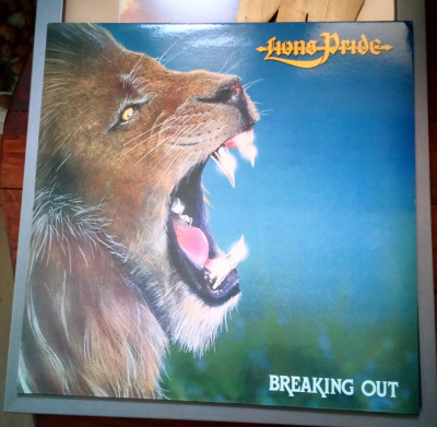 Lions Pride Breaking Out.jpg