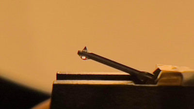 IMG_7277.jpeg