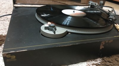 DSC_0267.JPG