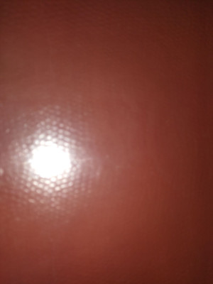 IMG20240130191109.jpg