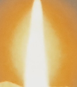 IMG_20240209_152528789_BURST000_COVER_COMP~2.jpg