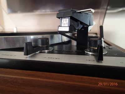 P1291693.JPG