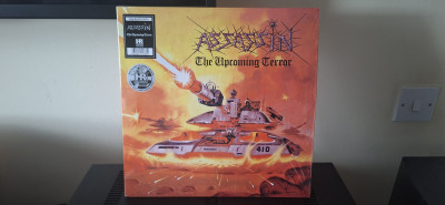 Assassin – The Upcoming Terror LP Vinyl.jpg
