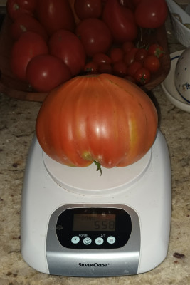 20240821_162956.jpg