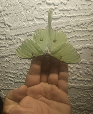 20240909_060942.jpg