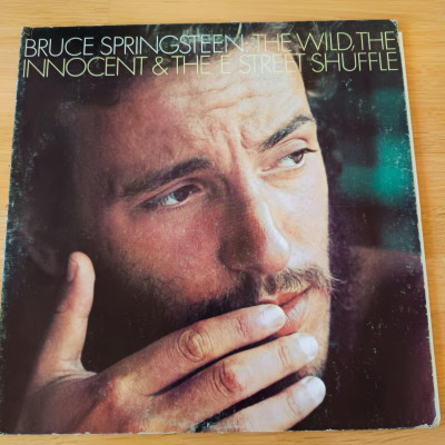 SPRINGSTEEN THE WILD.jpg