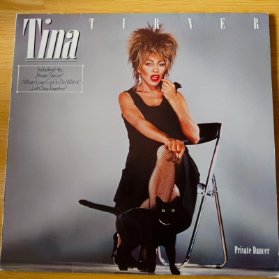 TINA TURNER PRIVATE DANCER.jpg