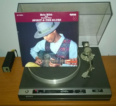 Eric Bibb - Spirit & The Blues (SWE 2002).jpg