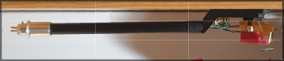 TP63.png