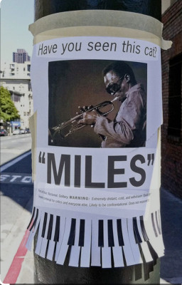 IMG_9131.jpeg (676.77 KiB) Przejrzano 12511 razy IMG_9131.jpeg