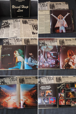 20250302_145514-COLLAGE.jpg