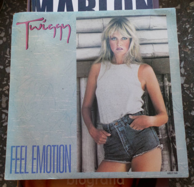 Twiggy Feel Emotion.JPG
