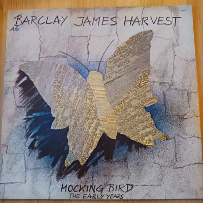 BARCLAY HOCKING BIRD.jpeg