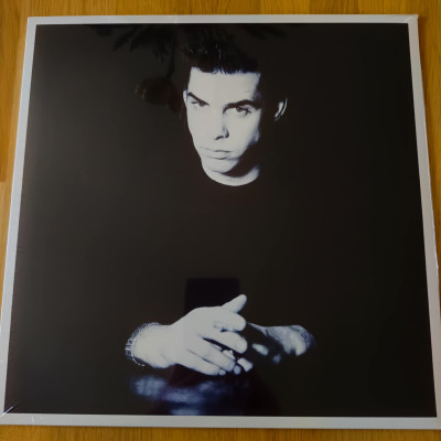 NICK CAVE THE FISTOBORN IS DEAD.jpeg