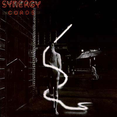 SYNERGY - CORDS.jpg