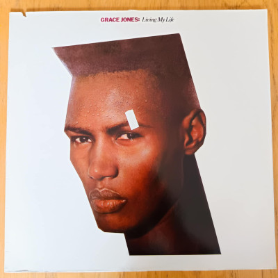 GRACE JONES LIVING MY LIFE.jpeg