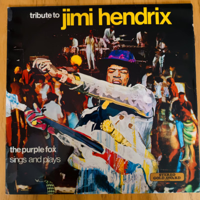 TRIBUTE TO JIMI HENDRIX.jpeg