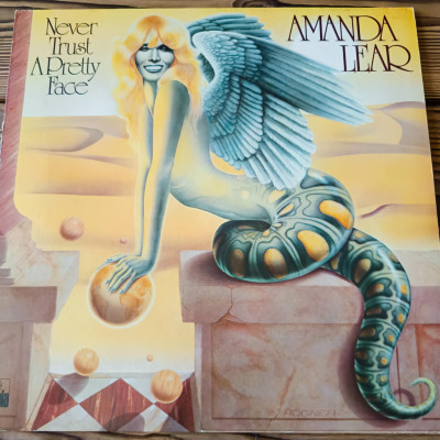 AMANDA LEAR NEVER TRUST A PRETTY FACE.jpeg