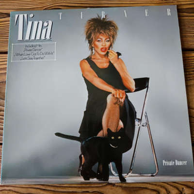 TINA TURNER PRIVATE DANCER.jpeg