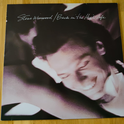 STEVE WINWOOD BACK IN THE HIGH LIFE.jpeg