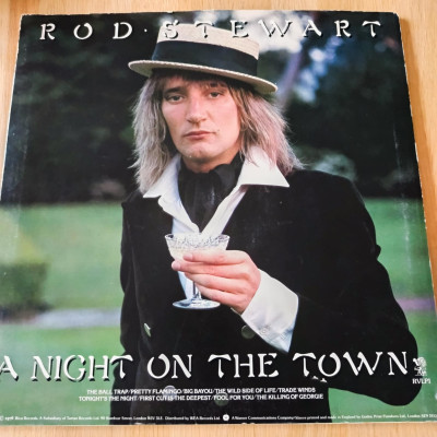 ROD STEWART A NIGHT OF THE TOWN.jpeg