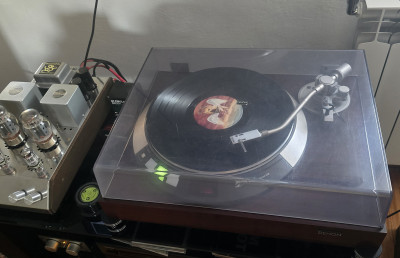 dp-55m zdj1