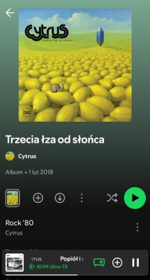 Screenshot_20250908_183342_Spotify.jpg