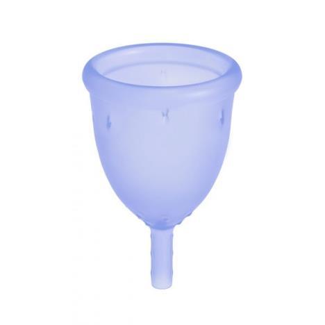 ladycup-blue-405968.jpg_468x468.jpg