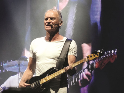 sting.jpg