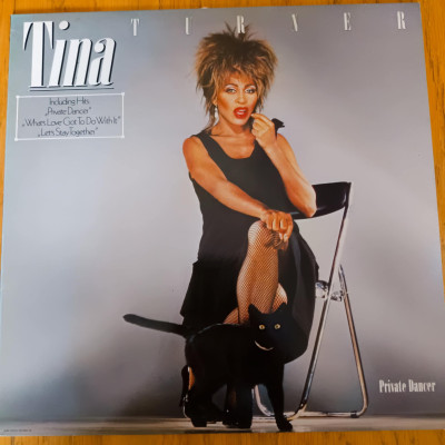 TINA TURNER PRIVATE DANCER.jpeg