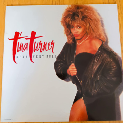 TINA TURNER BREAK EVERY RULE.jpeg