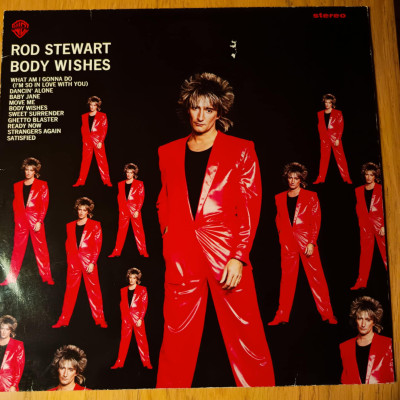 ROD STEWART BODY WISHES.jpeg