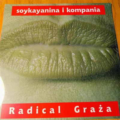 SOYKAYANINA I KOMPANIA RADICAL GRAŻA.jpeg