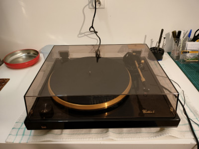 IMG20250225194811 (1280x960).jpg