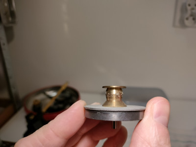 IMG20250228195425 (1280x960).jpg