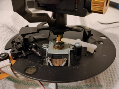 IMG20250302200933 (1280x960).jpg