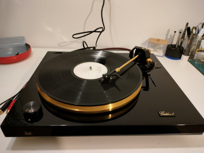 IMG20250305191853 (1280x960).jpg