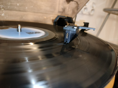 IMG20250402201920 (1280x960).jpg