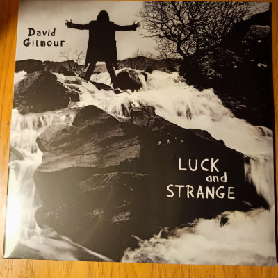 DAVID GILMOUR LUCK AND STRANGE.jpeg