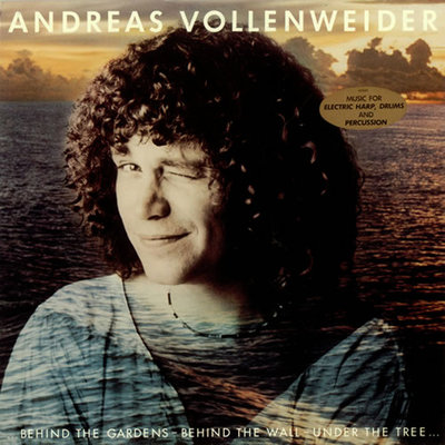 Vollenweider - ...Behind The Gardens V.jpeg