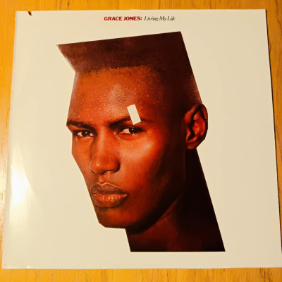GRACE JONES LIVING MY LIFE.jpeg