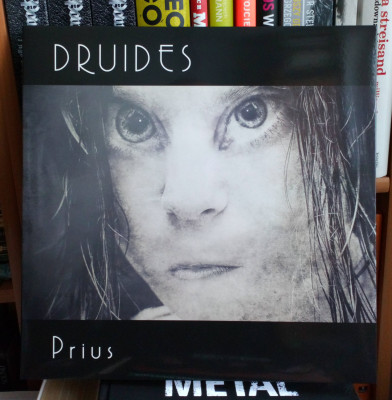 Druides Prius.JPG