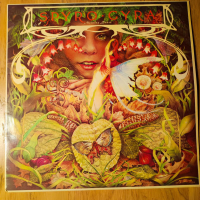 SPYRO GYRA MORNING DANCE.jpg