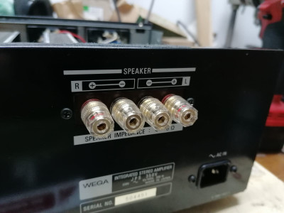 nowe gniazda Wega.jpg